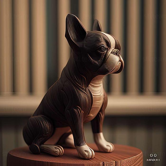 3D model Boston Terrier dog (STL)